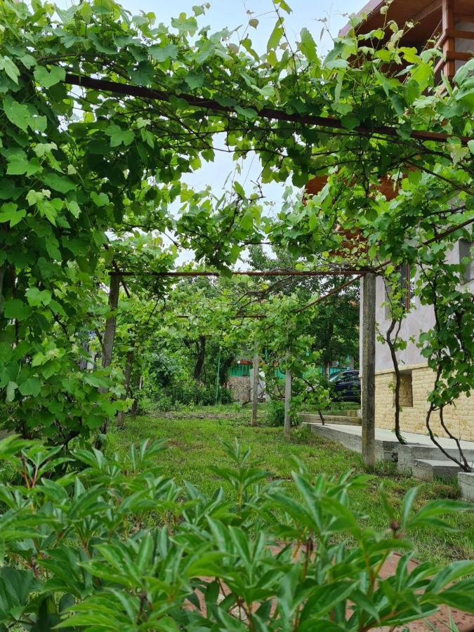 Casa Hera Călimăneşti Zewnętrze zdjęcie