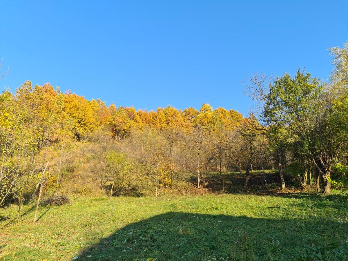Casa Hera Călimăneşti Zewnętrze zdjęcie