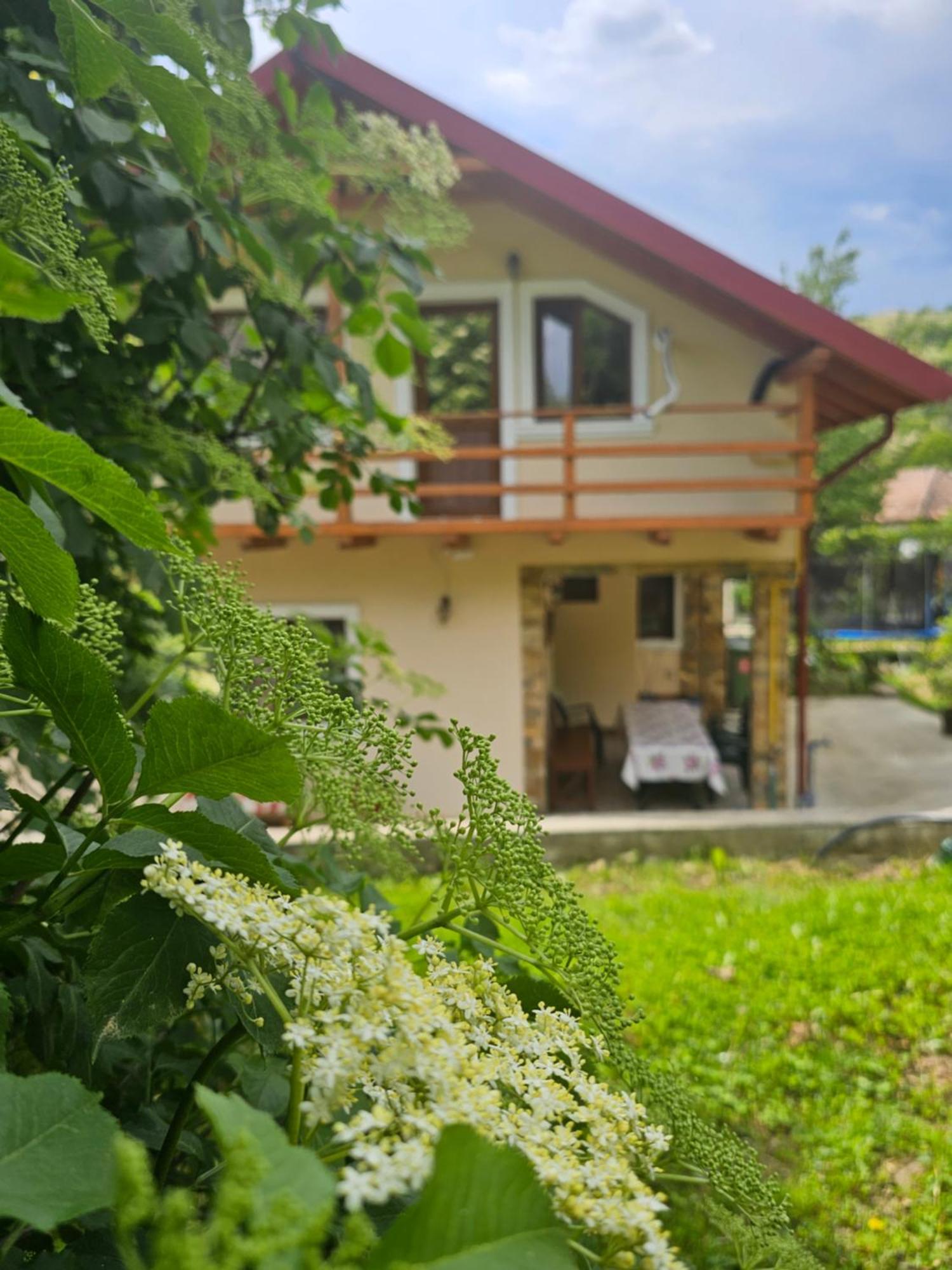 Casa Hera Călimăneşti Zewnętrze zdjęcie