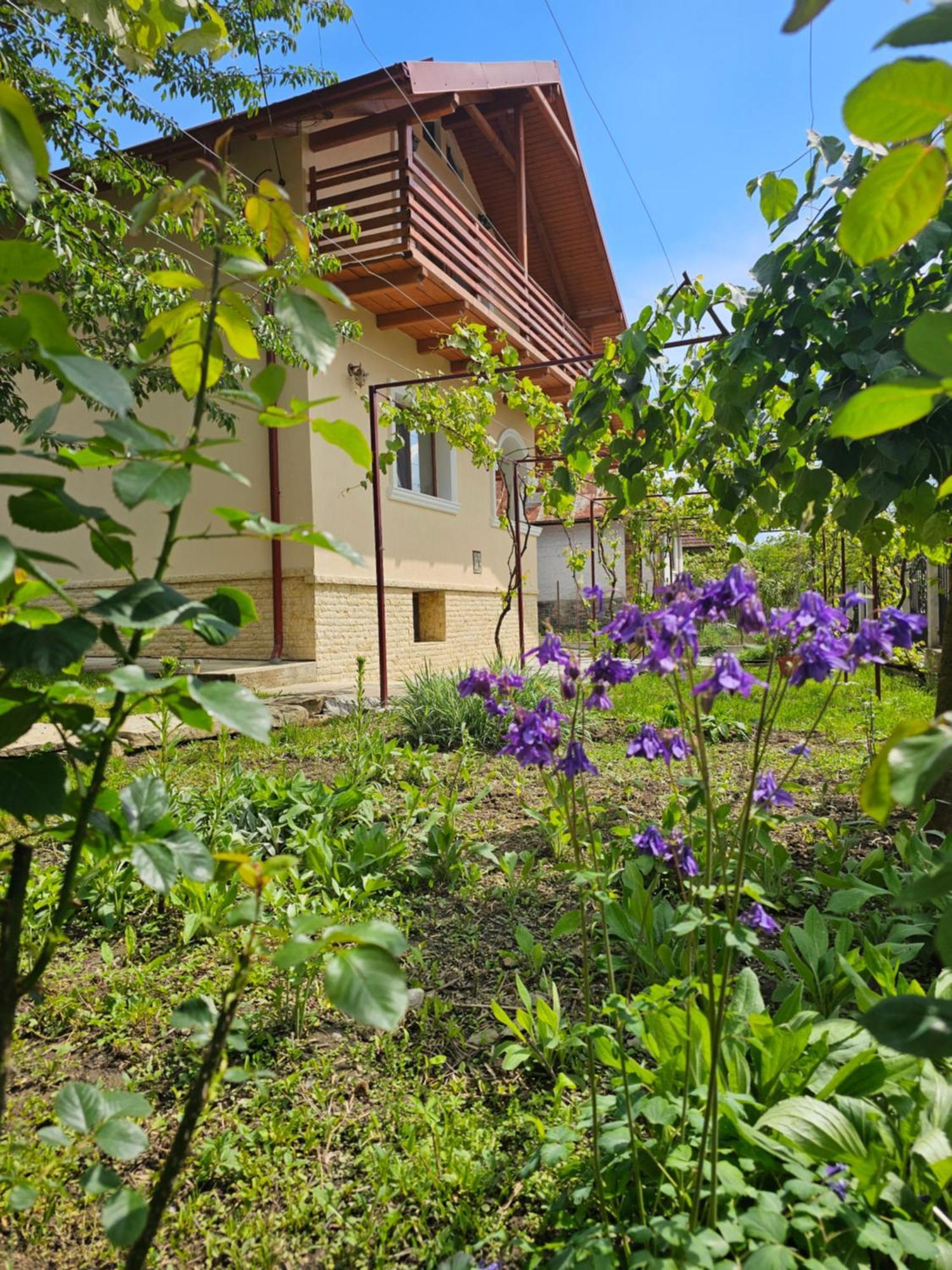 Casa Hera Călimăneşti Zewnętrze zdjęcie